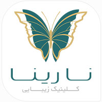 سئو سایت اقساطی نارینا